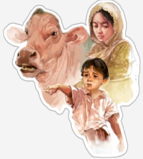 Sapi Sebesar Gajah
