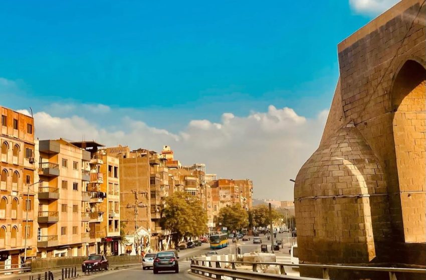  Cairo: A Dog’s Tail Never Straightens