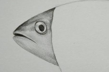 Dosa Sekolah pada Membaca