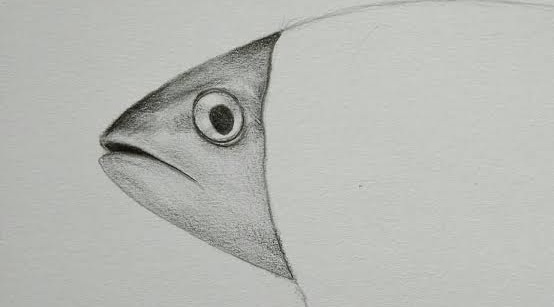  Dosa Sekolah pada Membaca